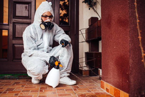 Reliable Cockroach Control contractor in Pleasant Garden, NC by Nex Pest Control