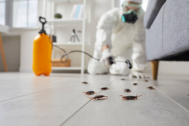 Affordable Cockroach Control solutions in Pleasant Garden, NC